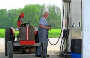 agrotikopetrelaioo_2