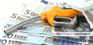 epidoma_thermansis_2019_1