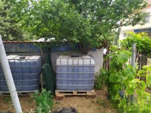 08072020doakaysima001