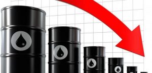 petrelaio_foto_times_1